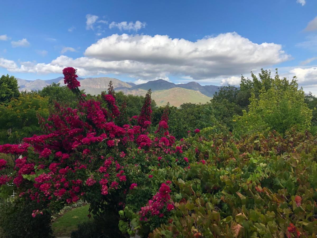 Alba House Guest House Paarl Luaran gambar